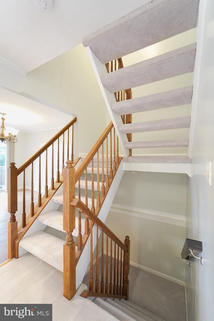5718 Croatan Court photo 21