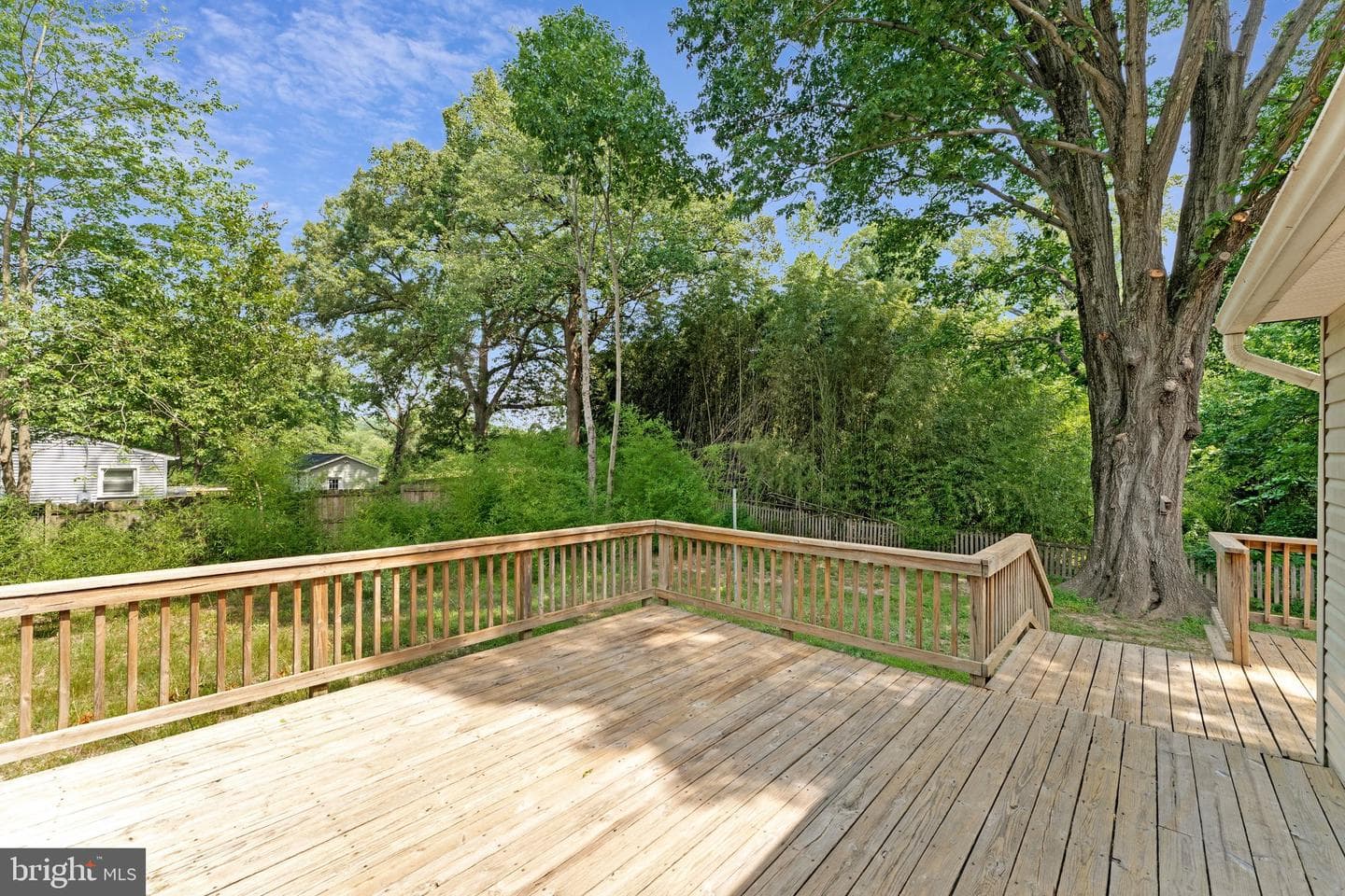10459 Greene Drive photo 22