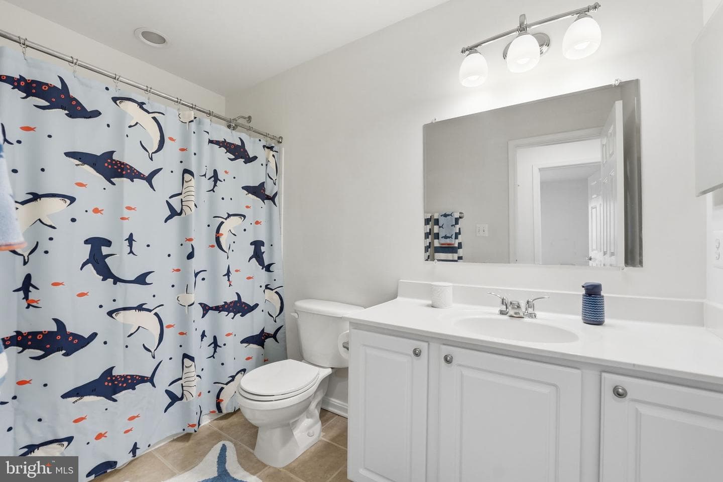 8656 Royal Worcester Lane photo 31