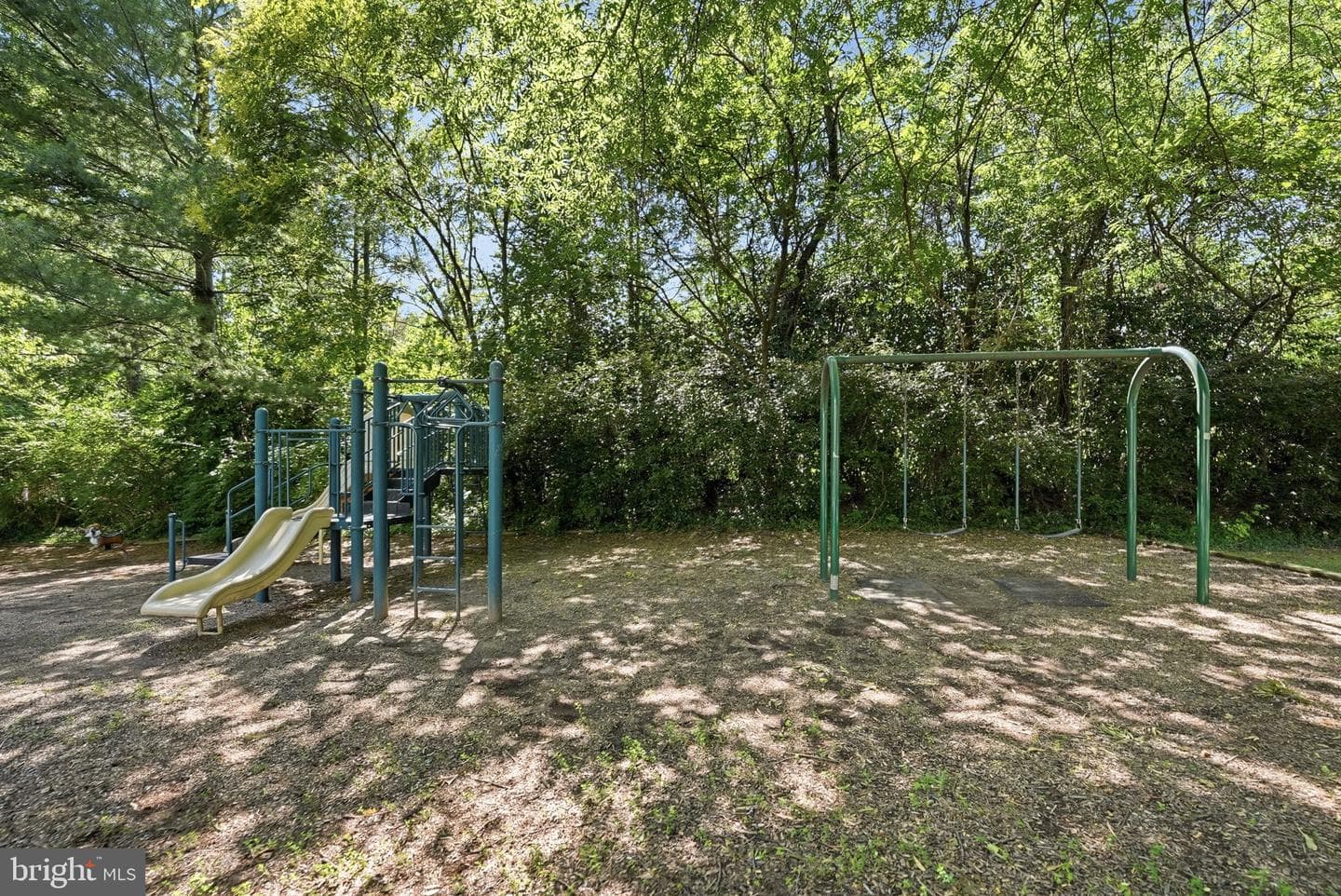 8656 Royal Worcester Lane photo 45