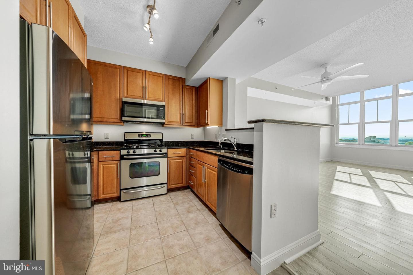 11760 Sunrise Valley Drive #1008 photo 13