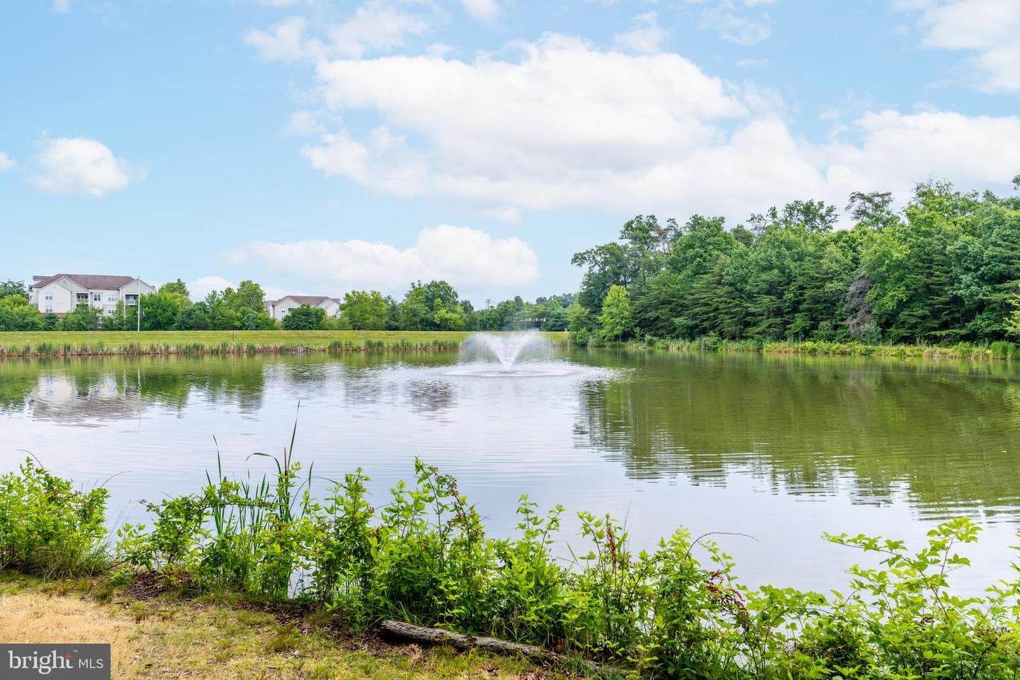 1720 Lake Shore Crest Drive #16 photo 40