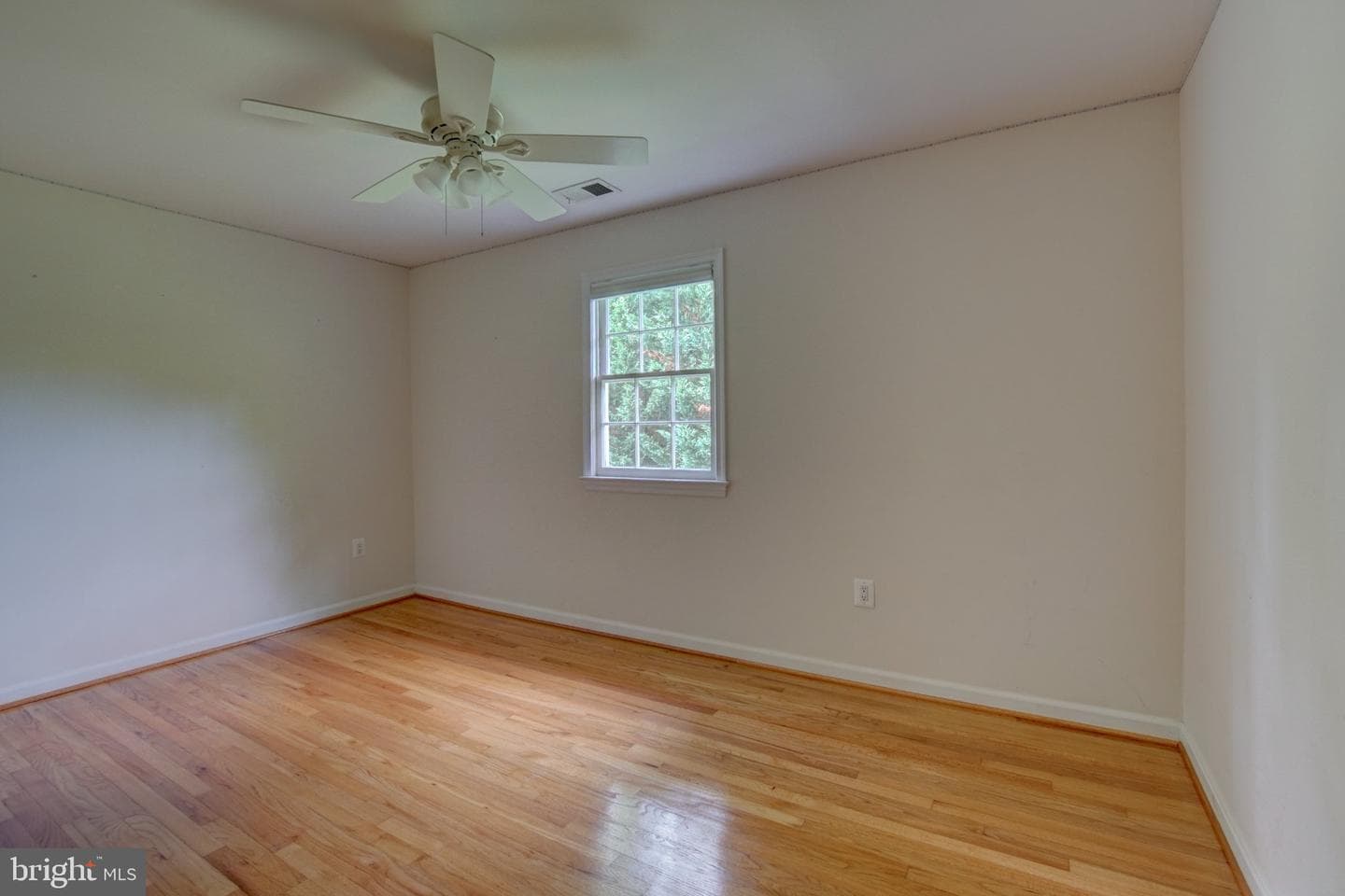 900 Walker Road photo 17