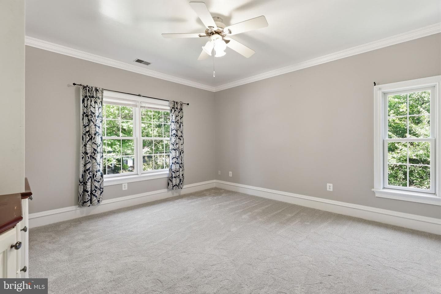 8813 Oak Leaf Drive photo 20