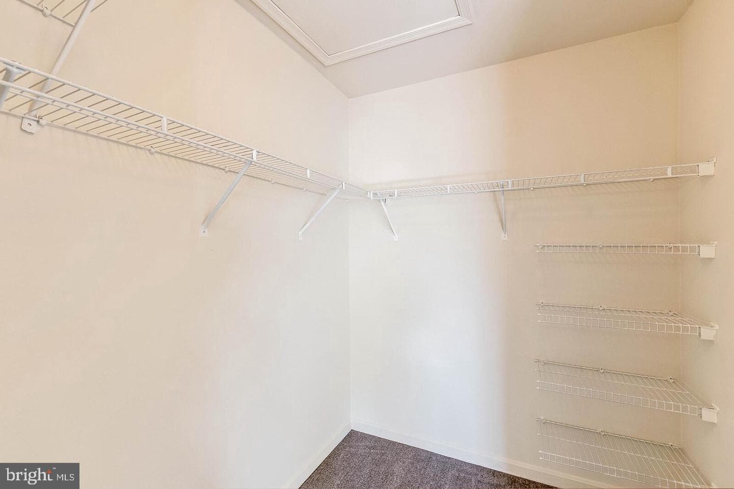 6601 Netties Lane #1803 photo 21