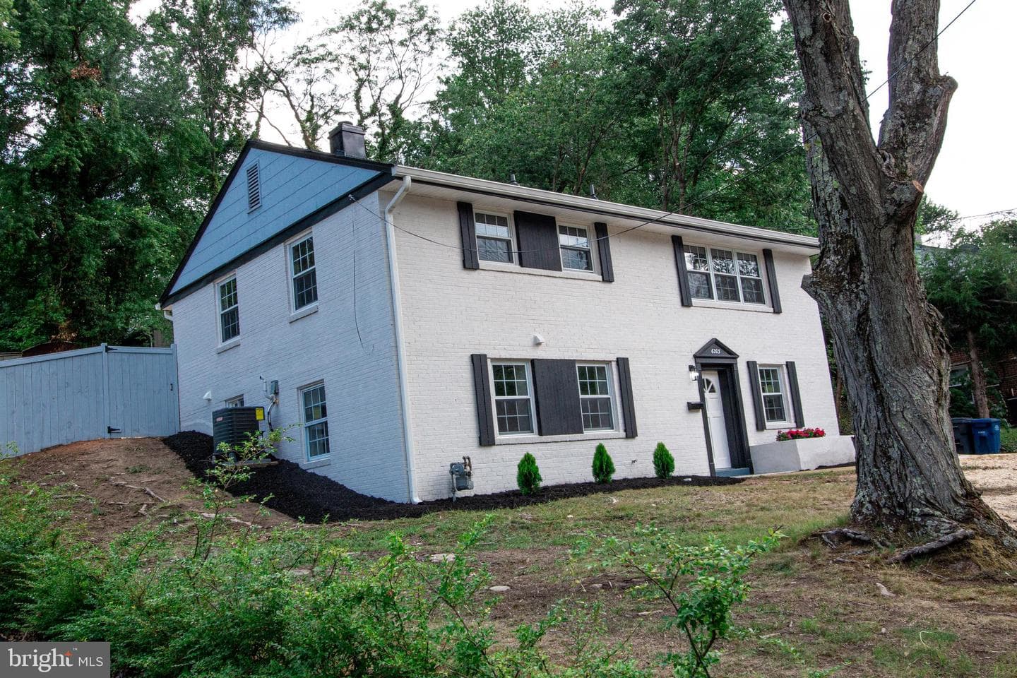 6203 Telegraph Road photo 6