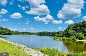 5804 Channing Road photo 24