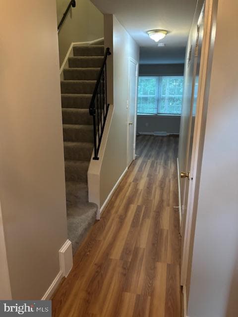 3058 Covington Street photo 3