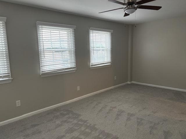 3058 Covington Street photo 8