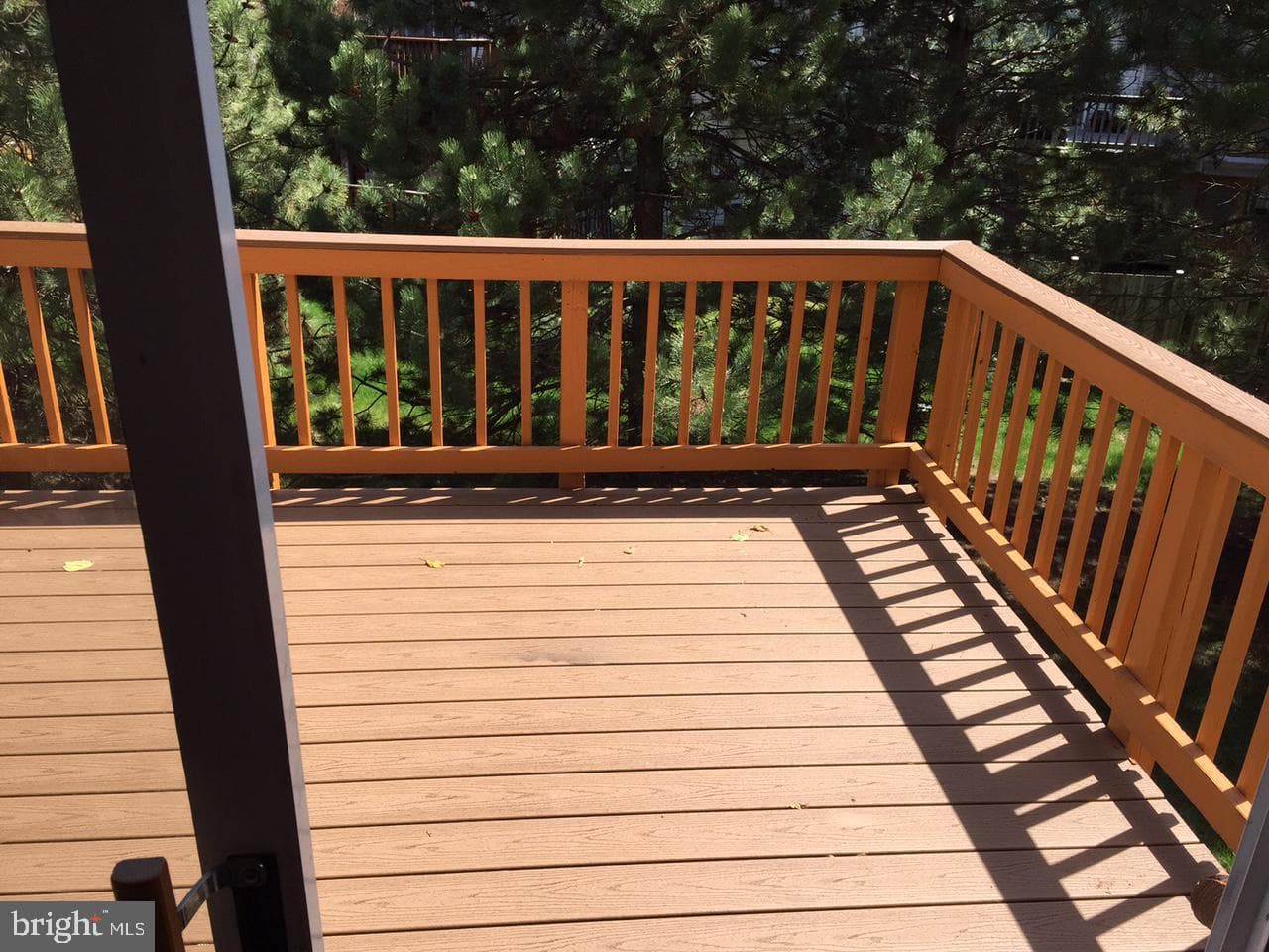 2503 Clover Field Circle photo 6