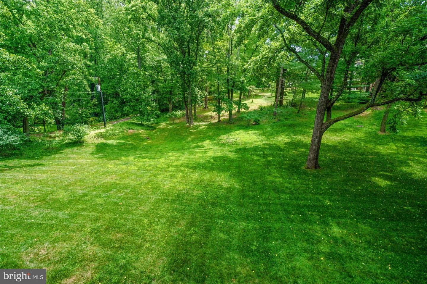 1033 Swinks Mill Road photo 42