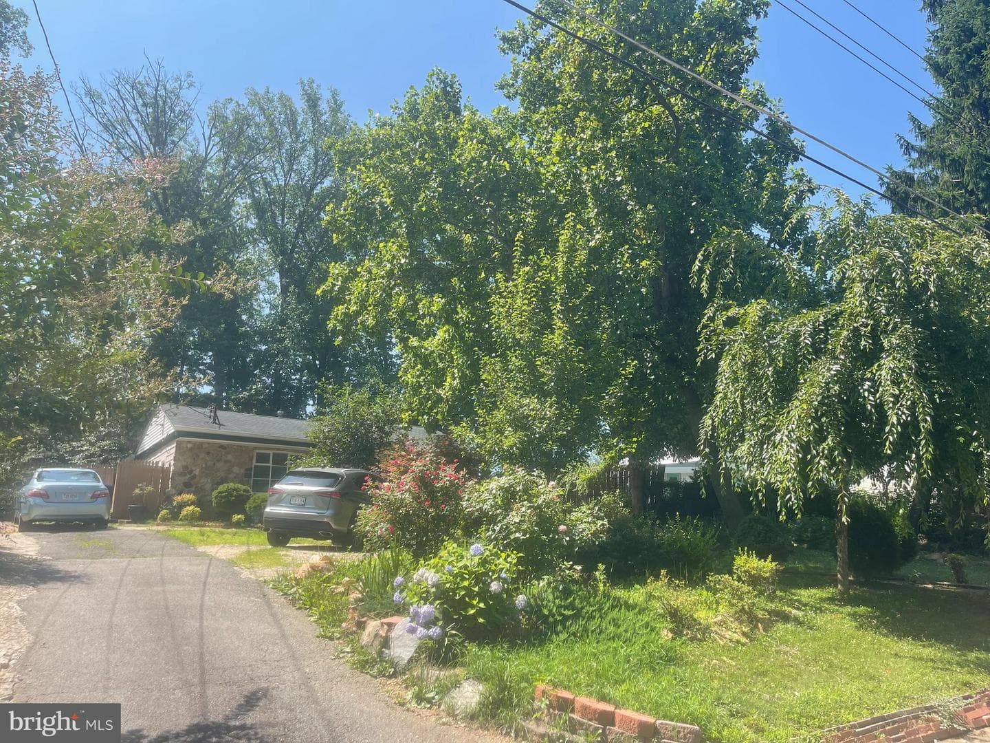 7225 Pine Drive photo 17