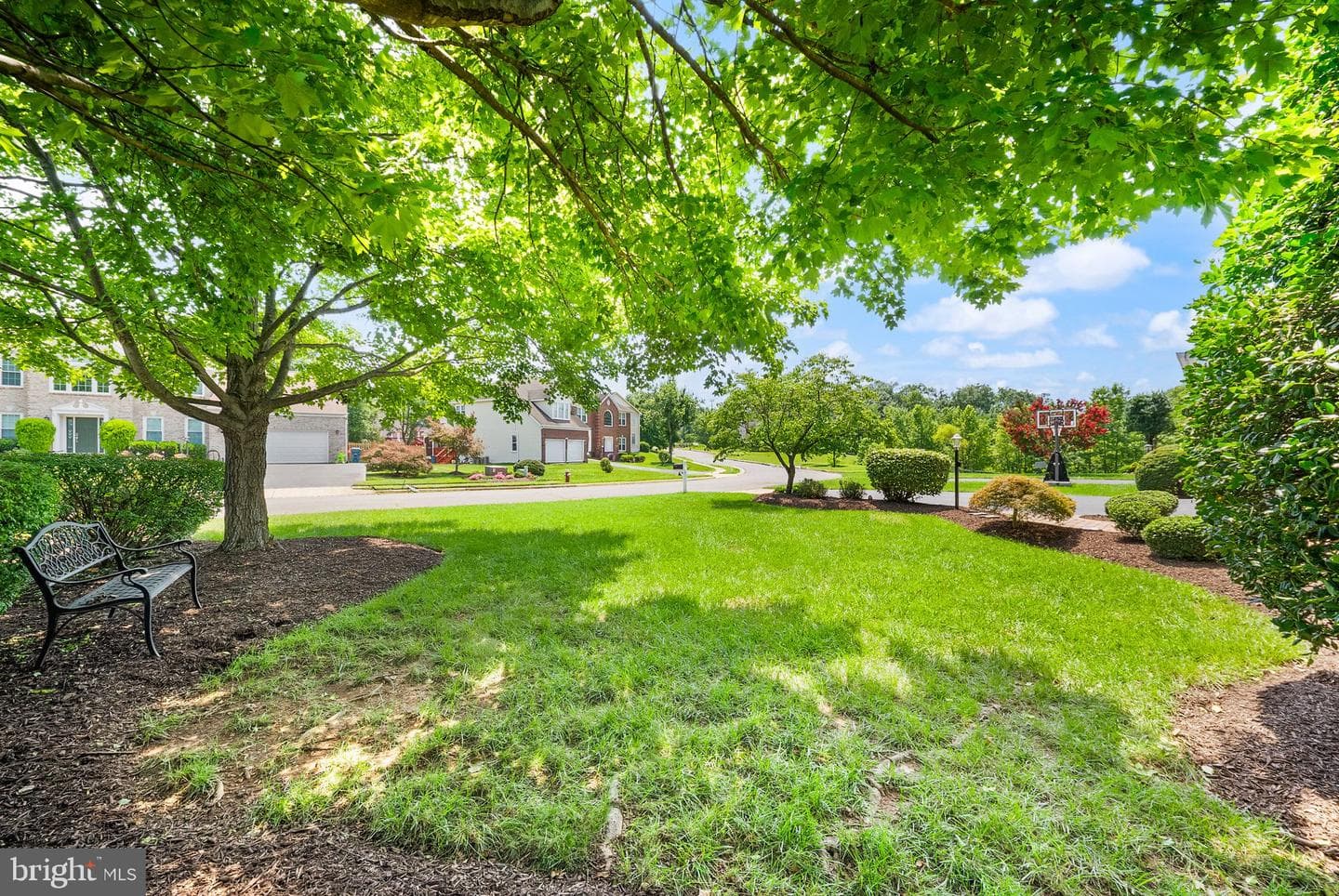 13111 Blue Willow Place photo 11