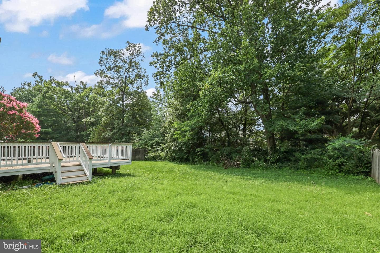 1511 Snowflake Court photo 41