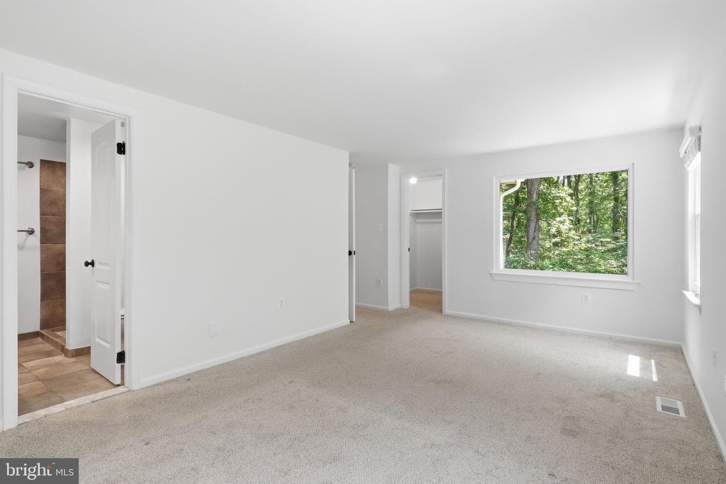 10100 Walnut Wood Court photo 21
