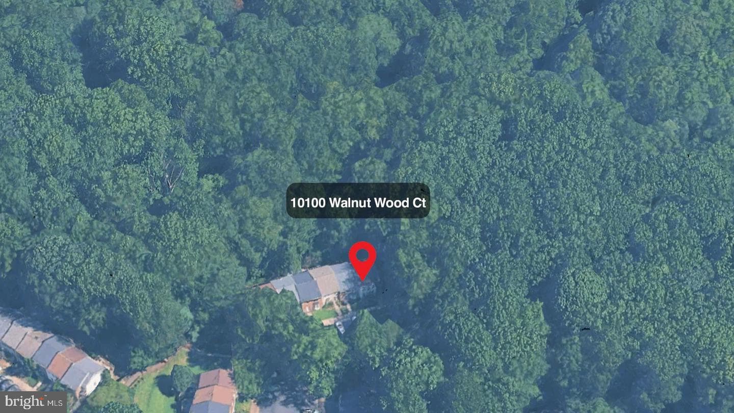 10100 Walnut Wood Court photo 42