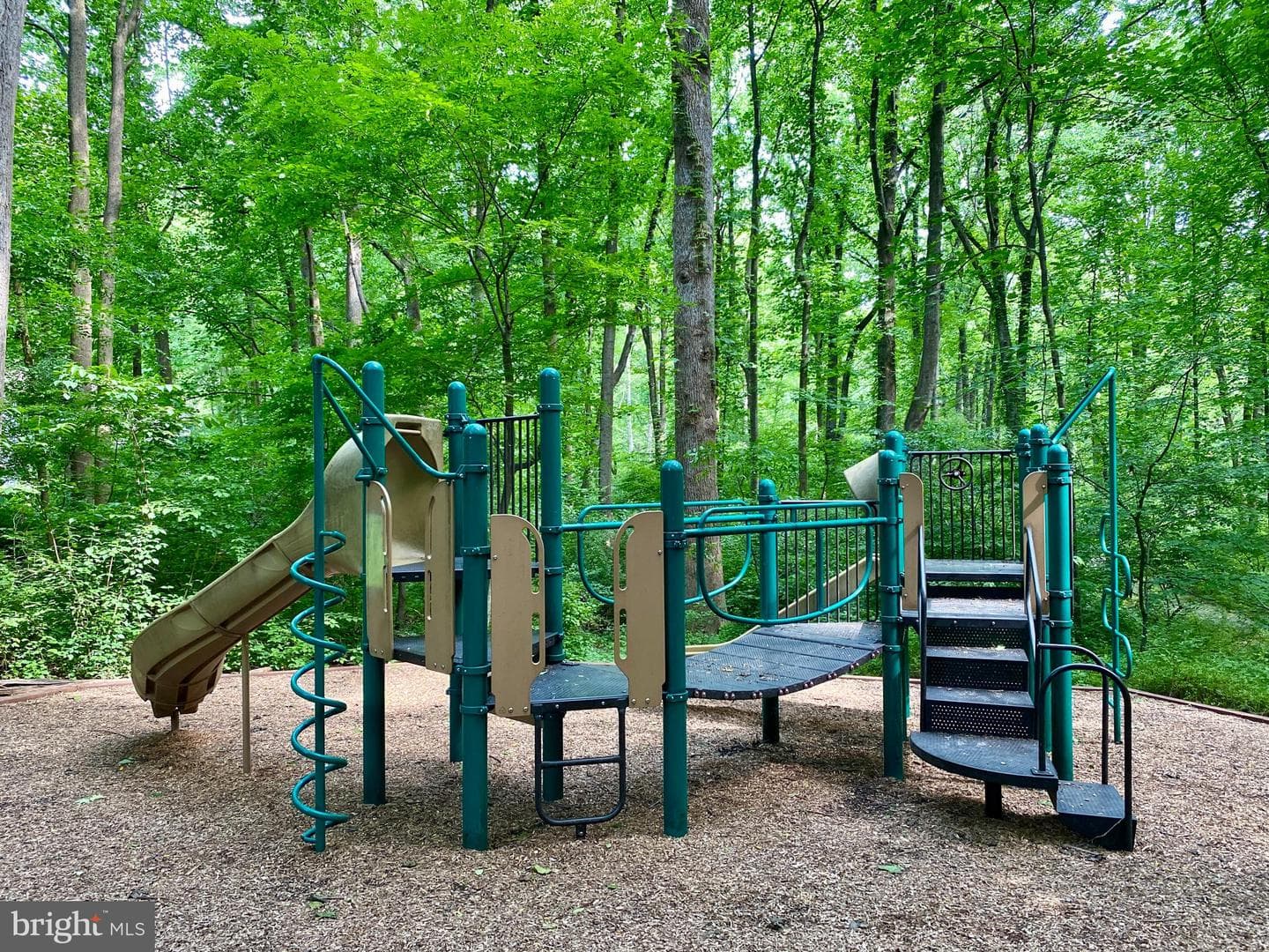 10100 Walnut Wood Court photo 43