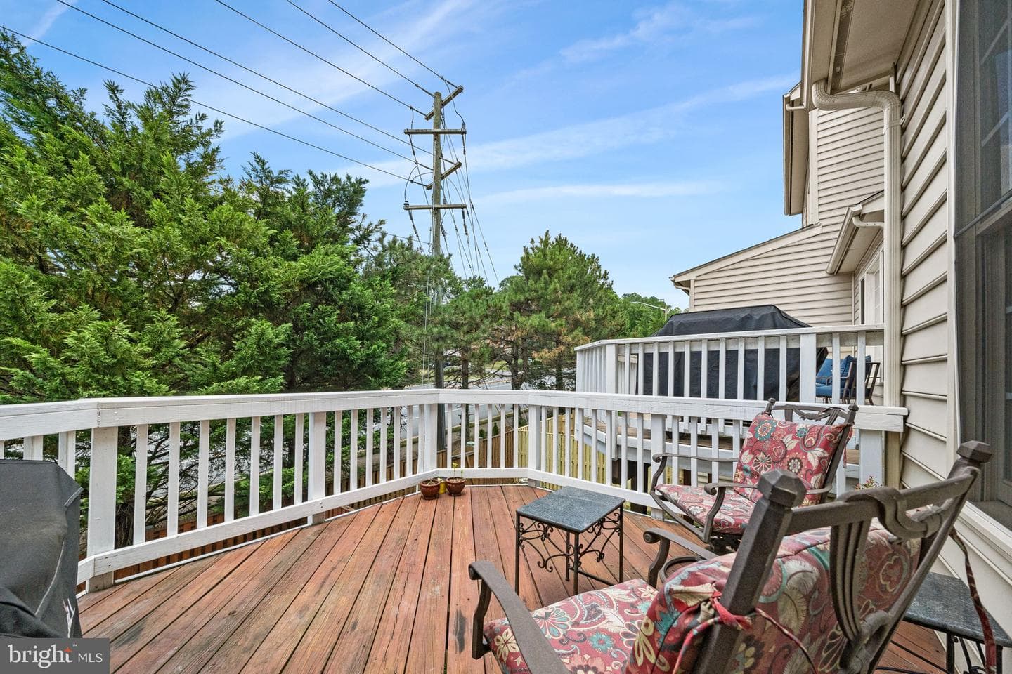 5410 Edsall Ridge Place photo 38