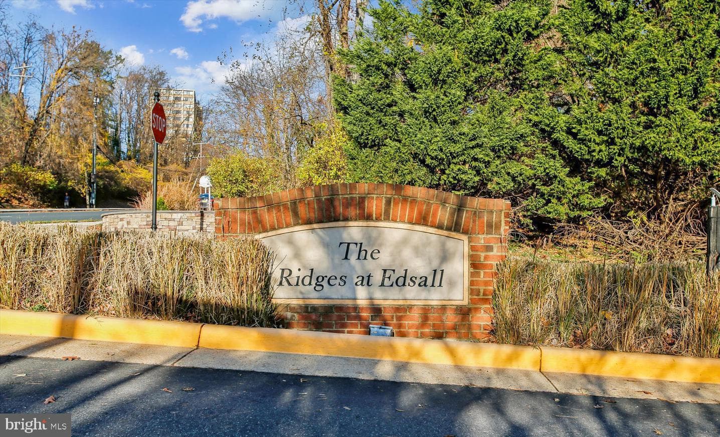 5410 Edsall Ridge Place photo 47