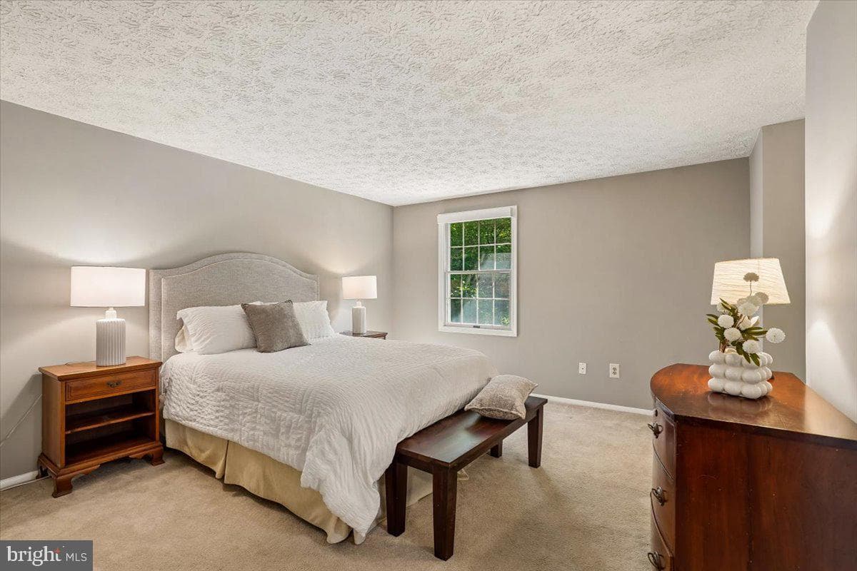 10906 Barton Hill Court photo 21
