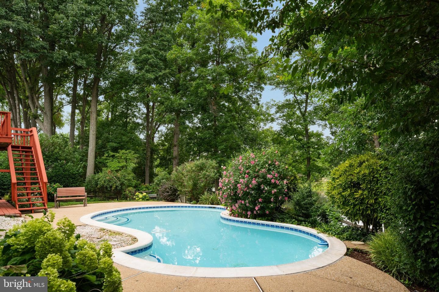 13486 Lake Shore Drive photo 39