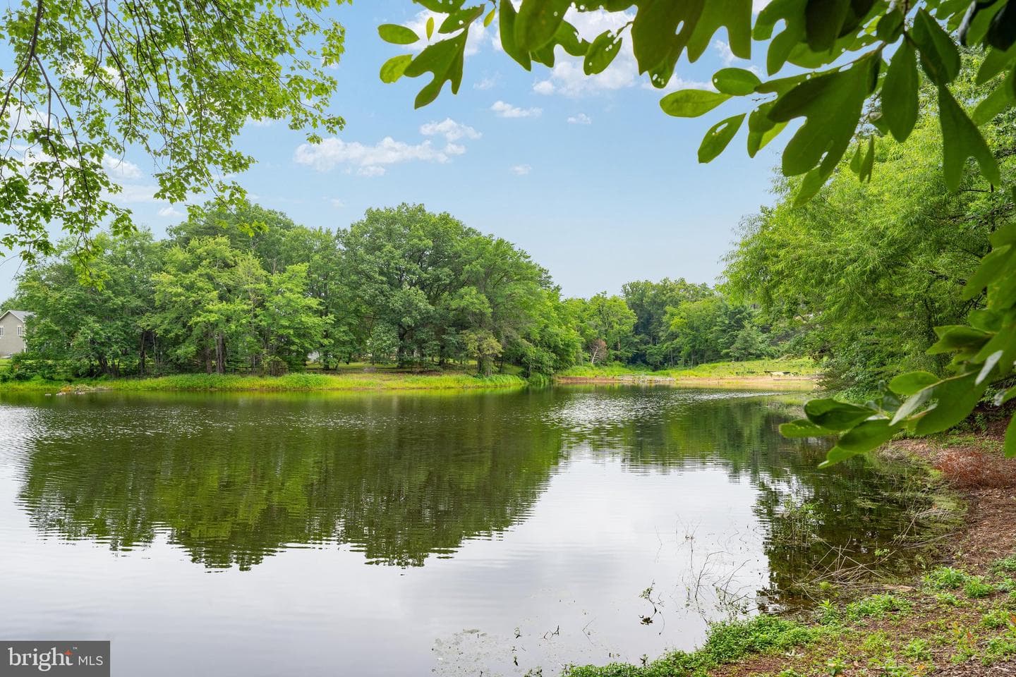 13486 Lake Shore Drive photo 47