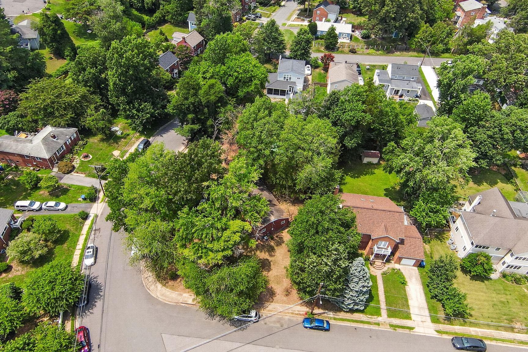 3122 Collie Lane photo 5