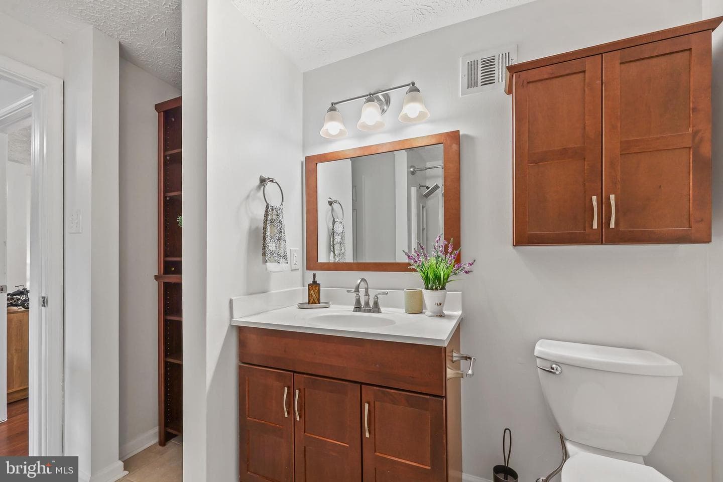 7315 Golden Horseshoe Court photo 25