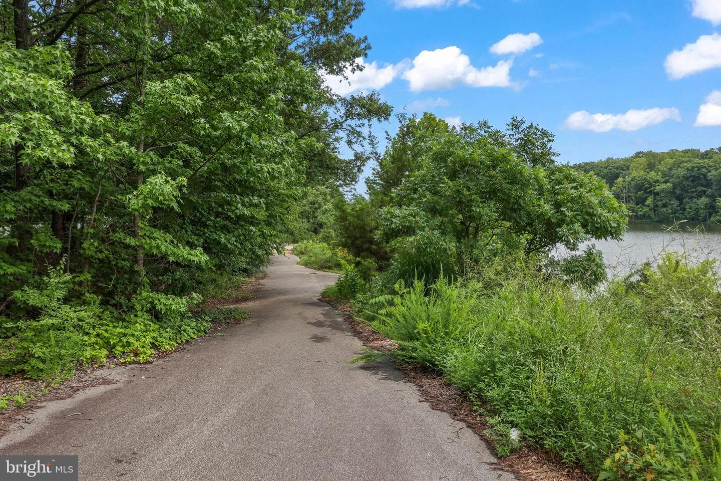 7315 Golden Horseshoe Court photo 42