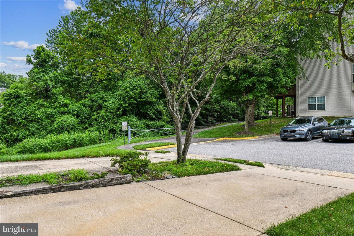 8429 Carmela Circle photo 51