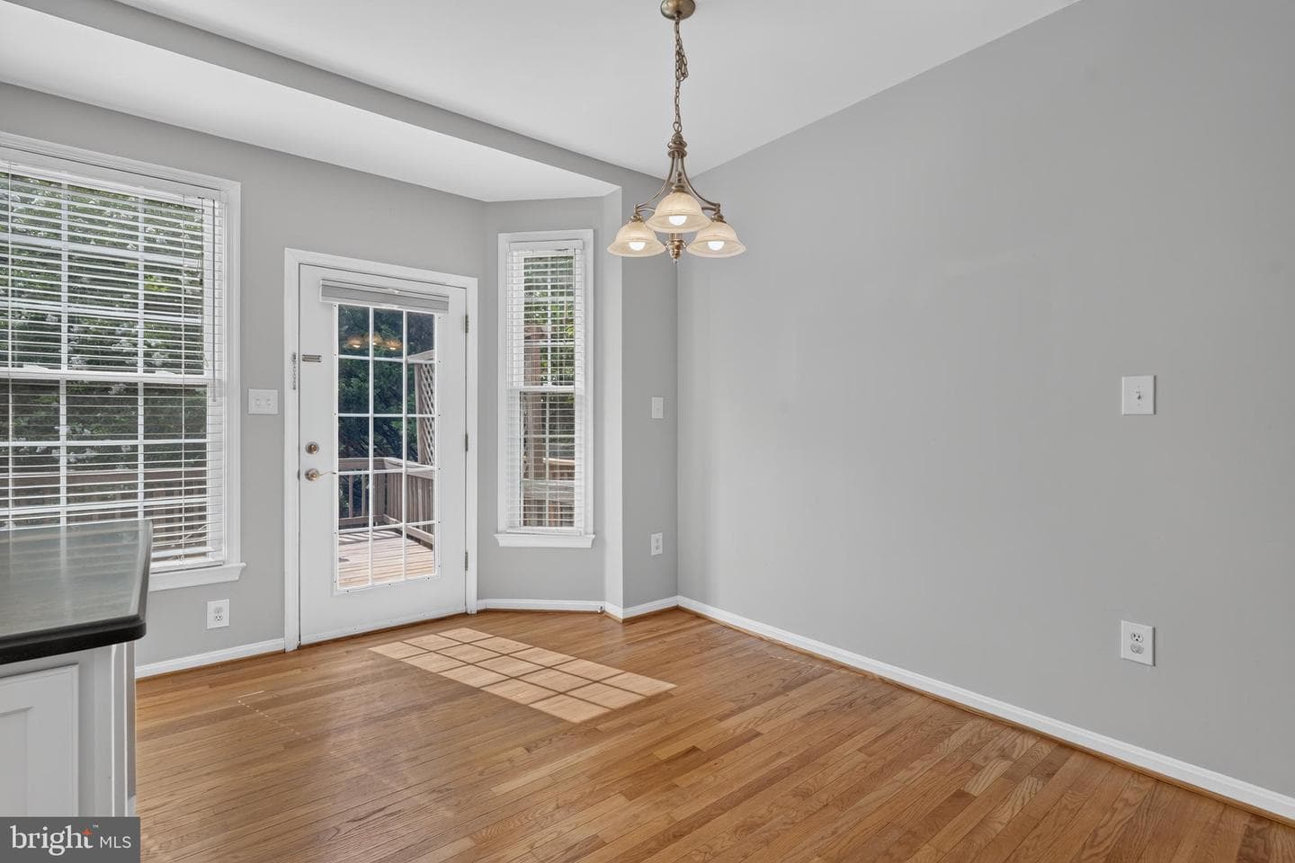 8015 Readington Court photo 14