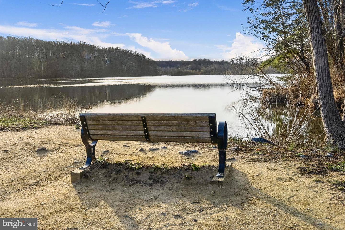 8550 Bauer Drive photo 46