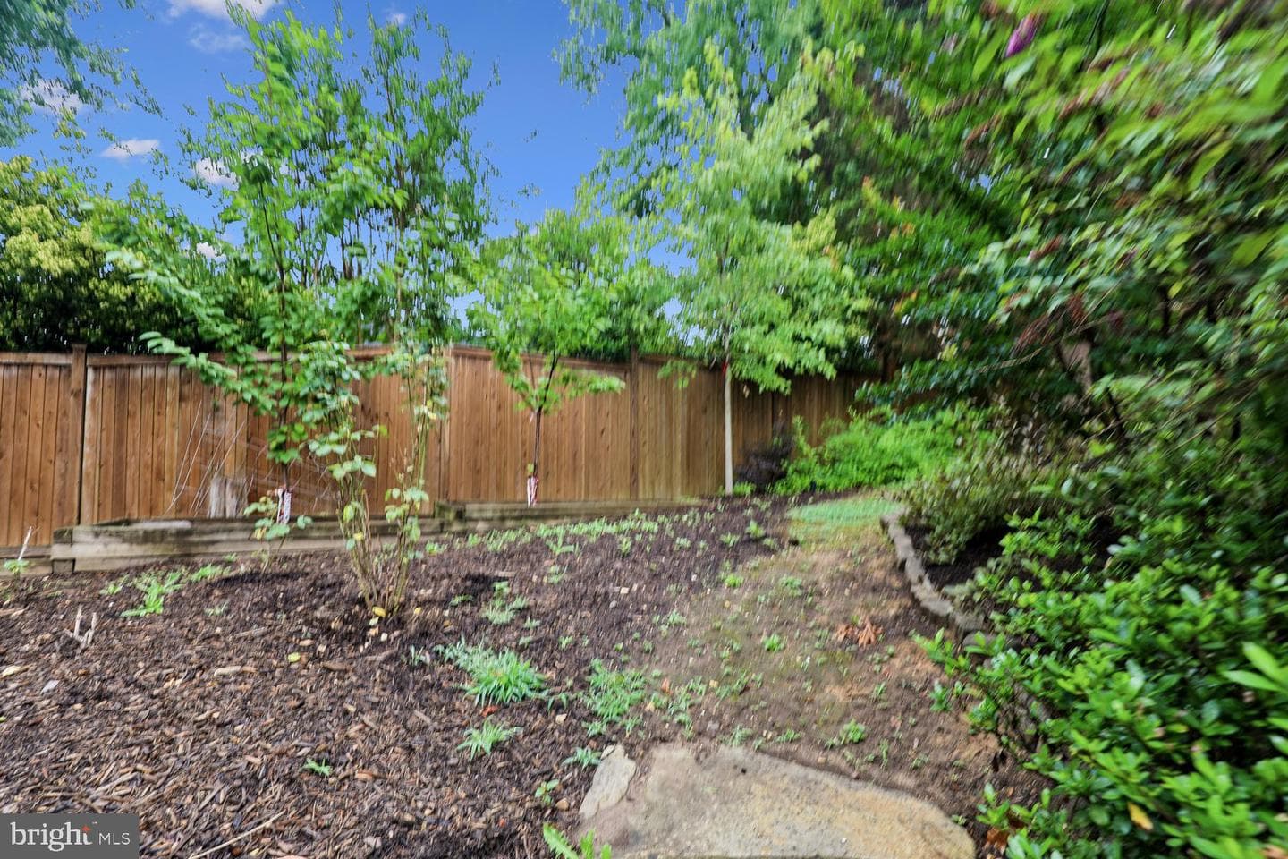 9005 Greylock Street photo 49