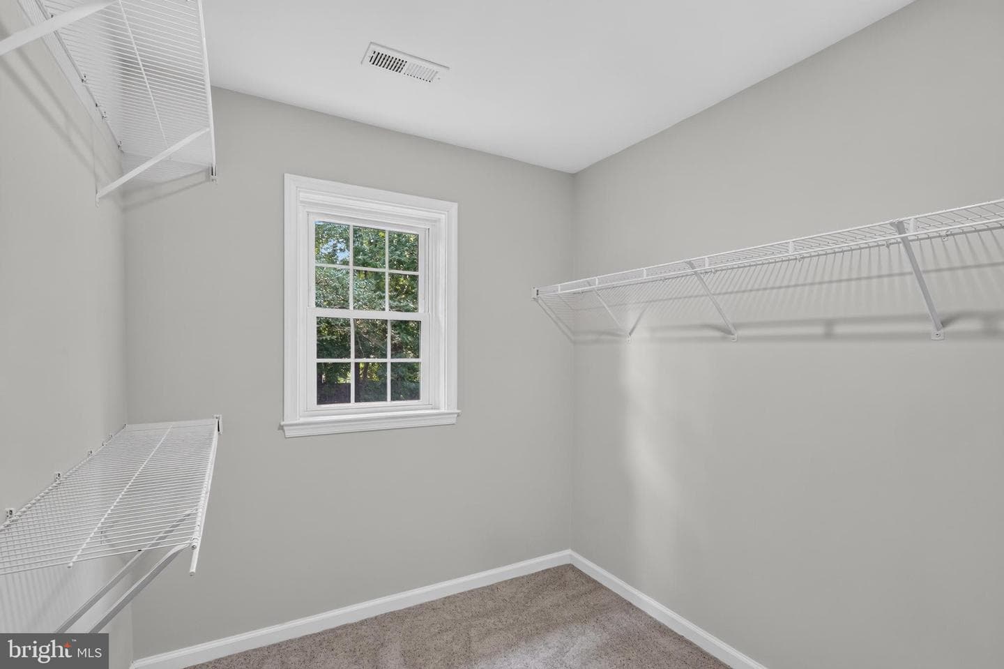 10101 Nadine Drive photo 23