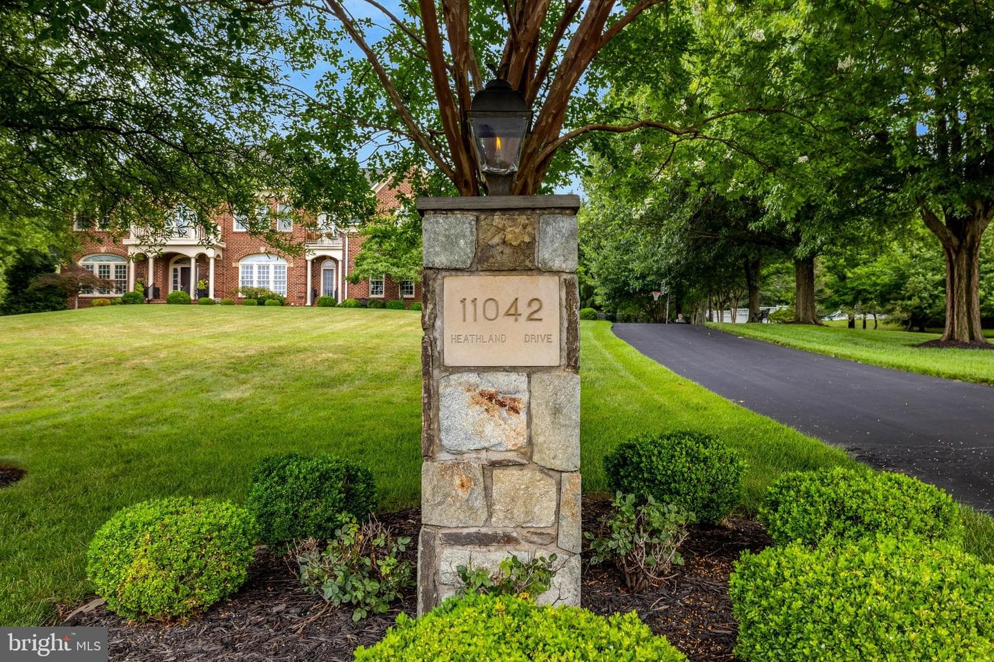 11042 Heathland Drive photo 3