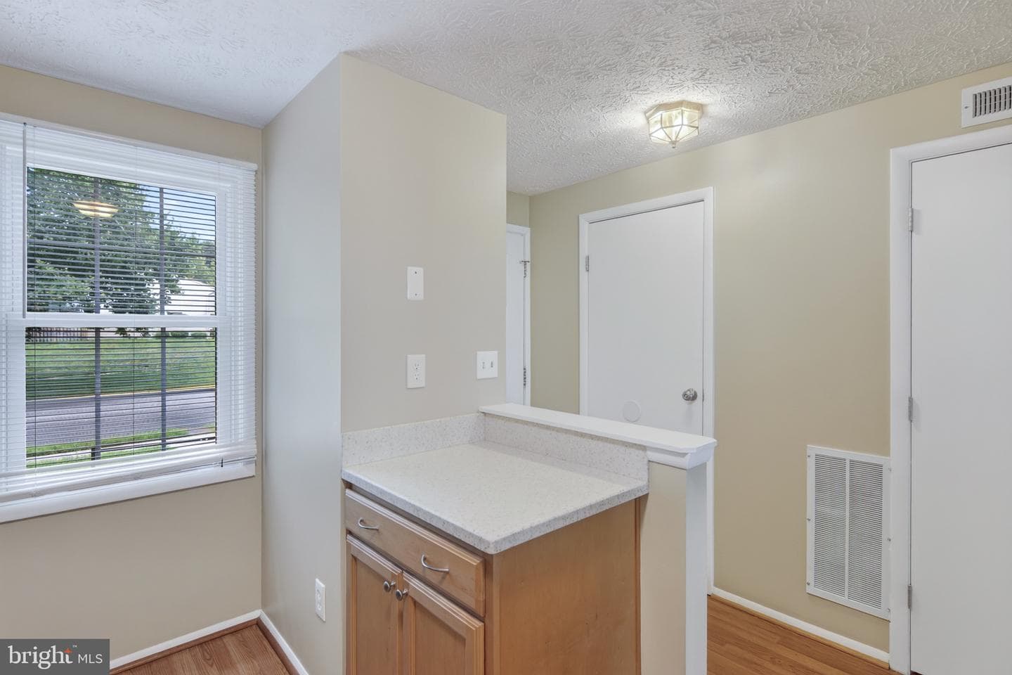 8741 Susquehanna Street photo 7