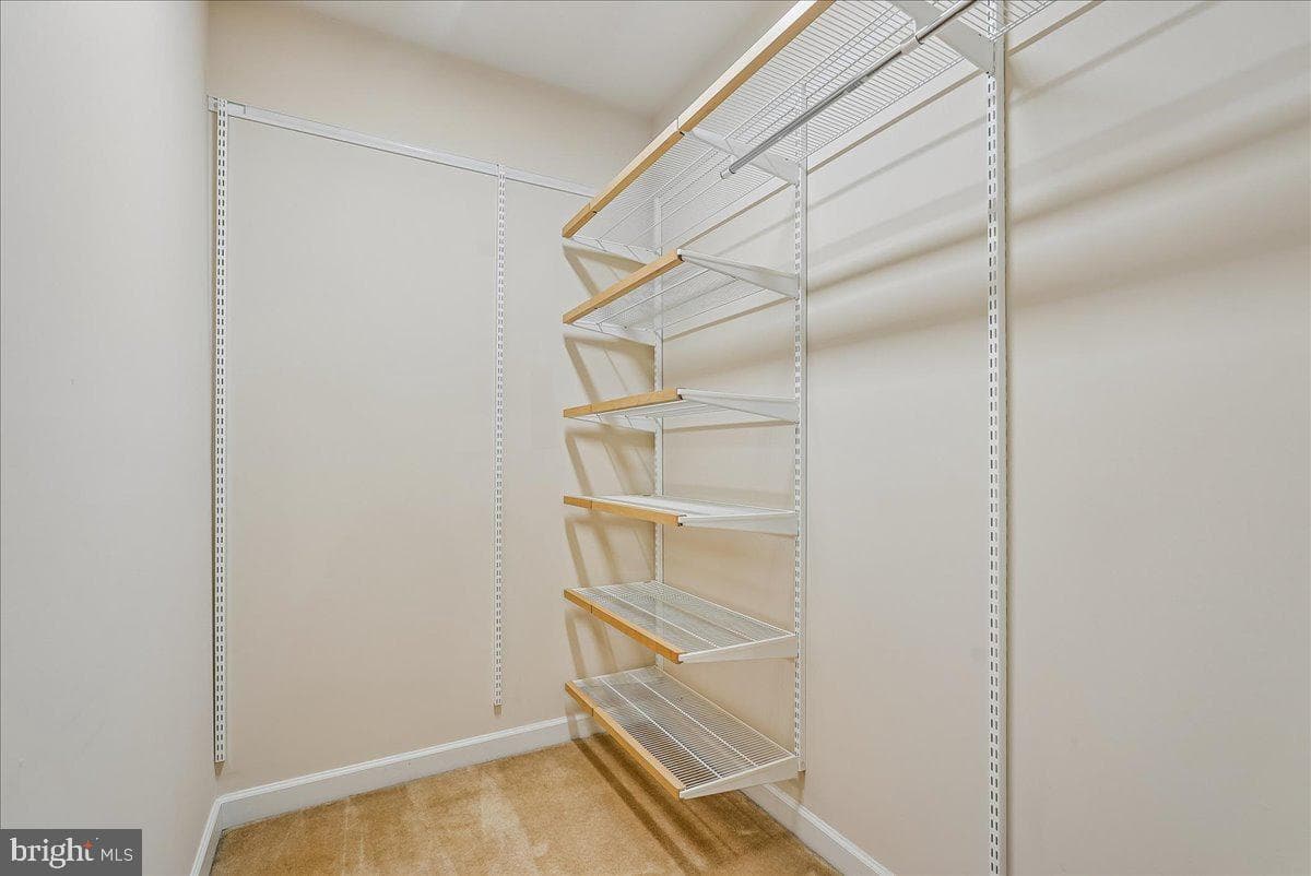 6322 Halsey Road photo 43