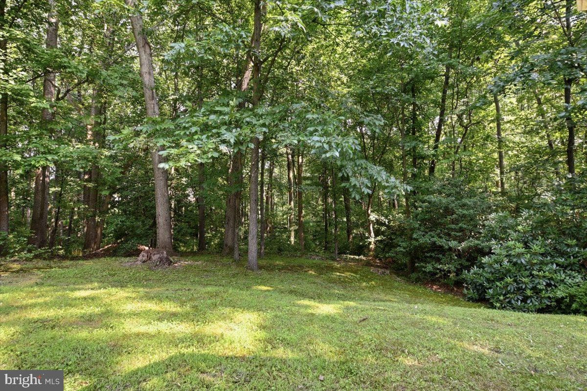 9615 Podium Drive photo 45
