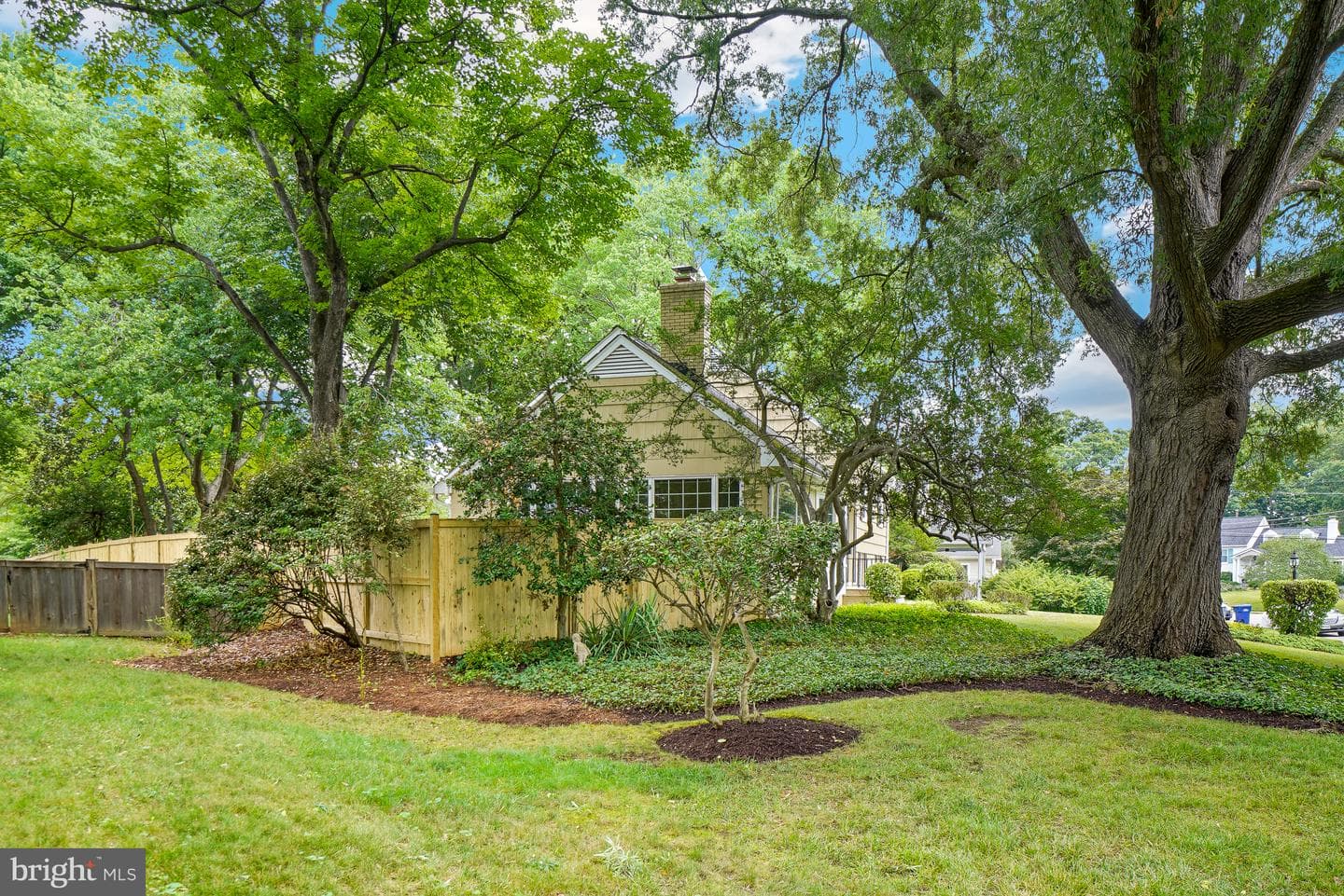 8524 Doter Drive photo 4
