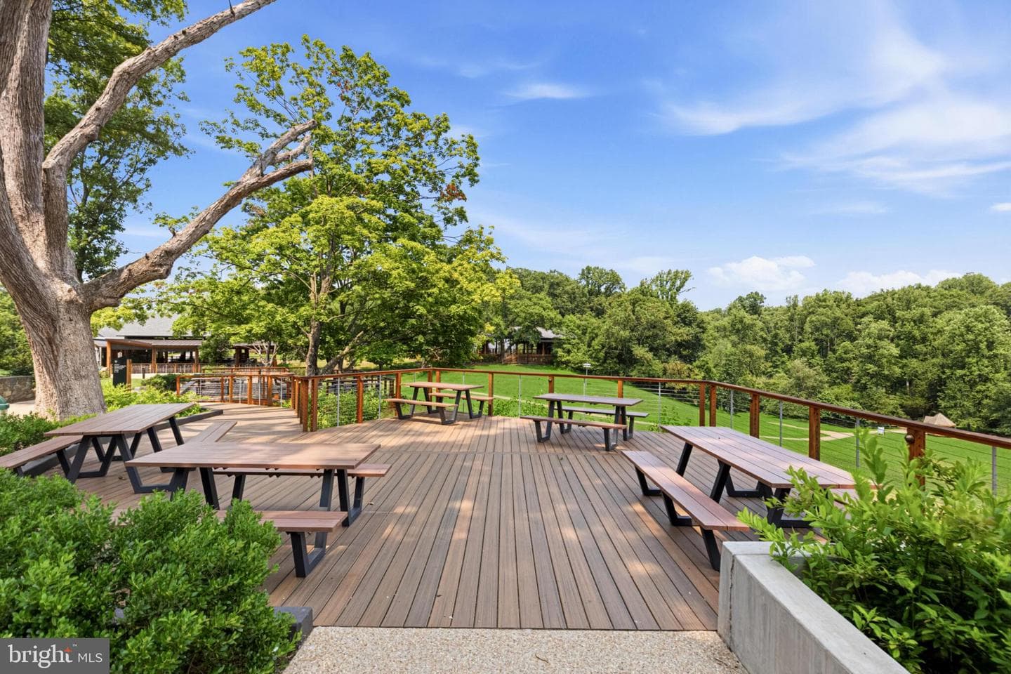 9509 Mandolin Court photo 42