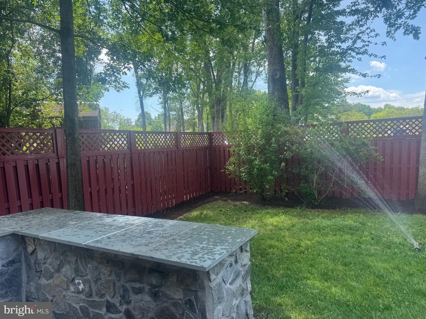8808 Black Alder Drive photo 47