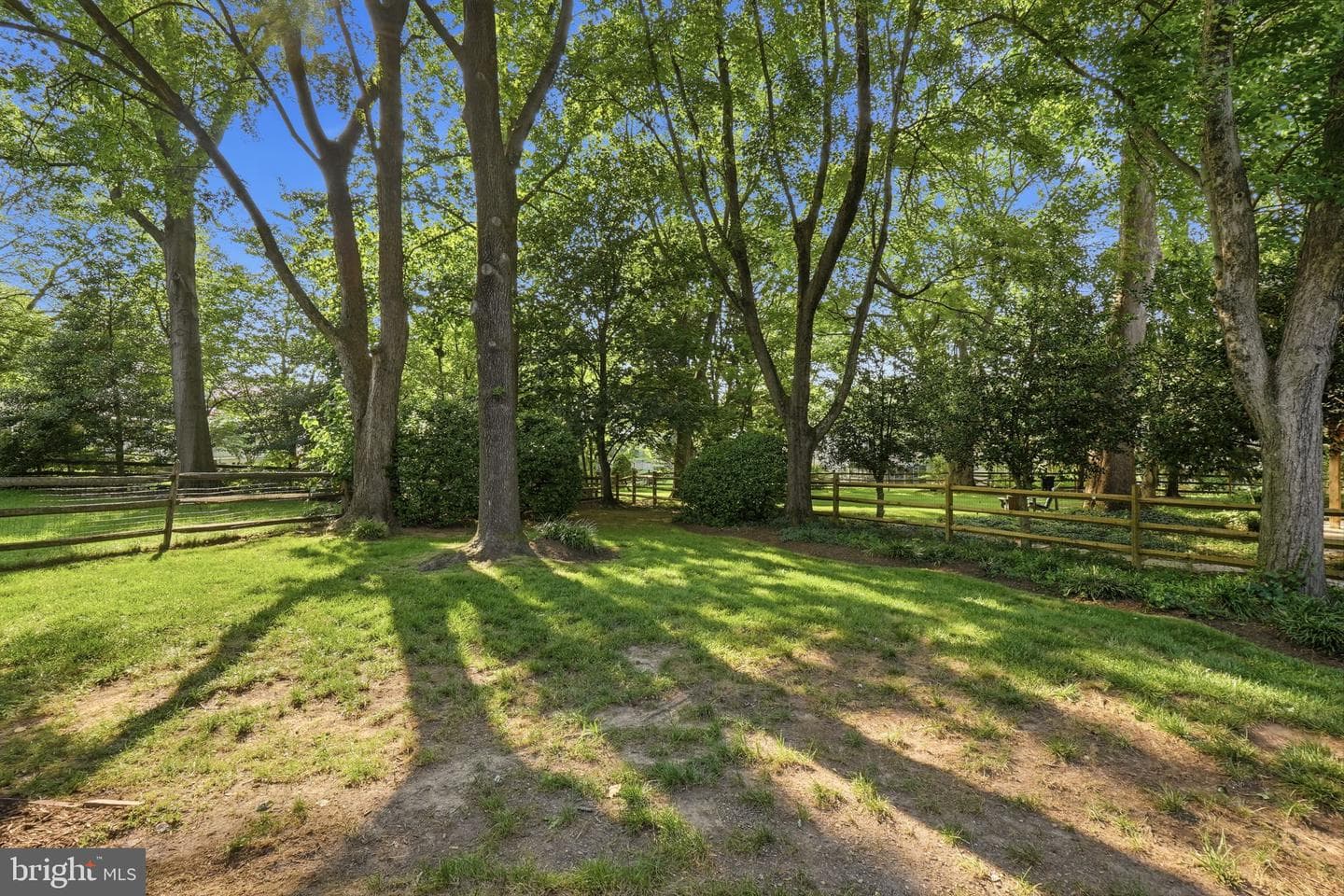 9904 Marquand Drive photo 58
