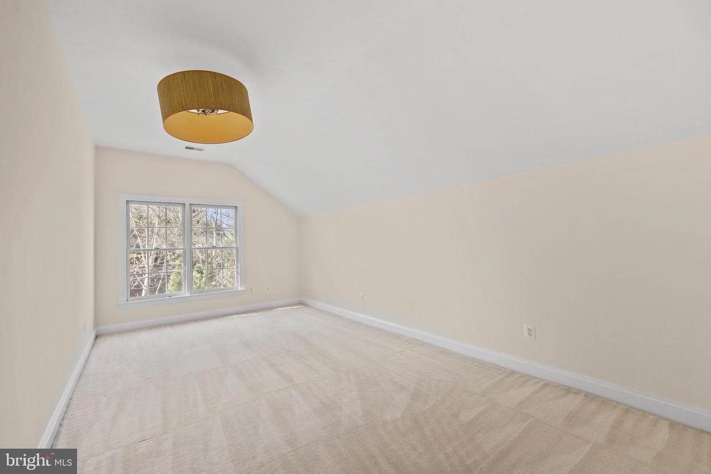 11638 Forest Hill Court photo 21