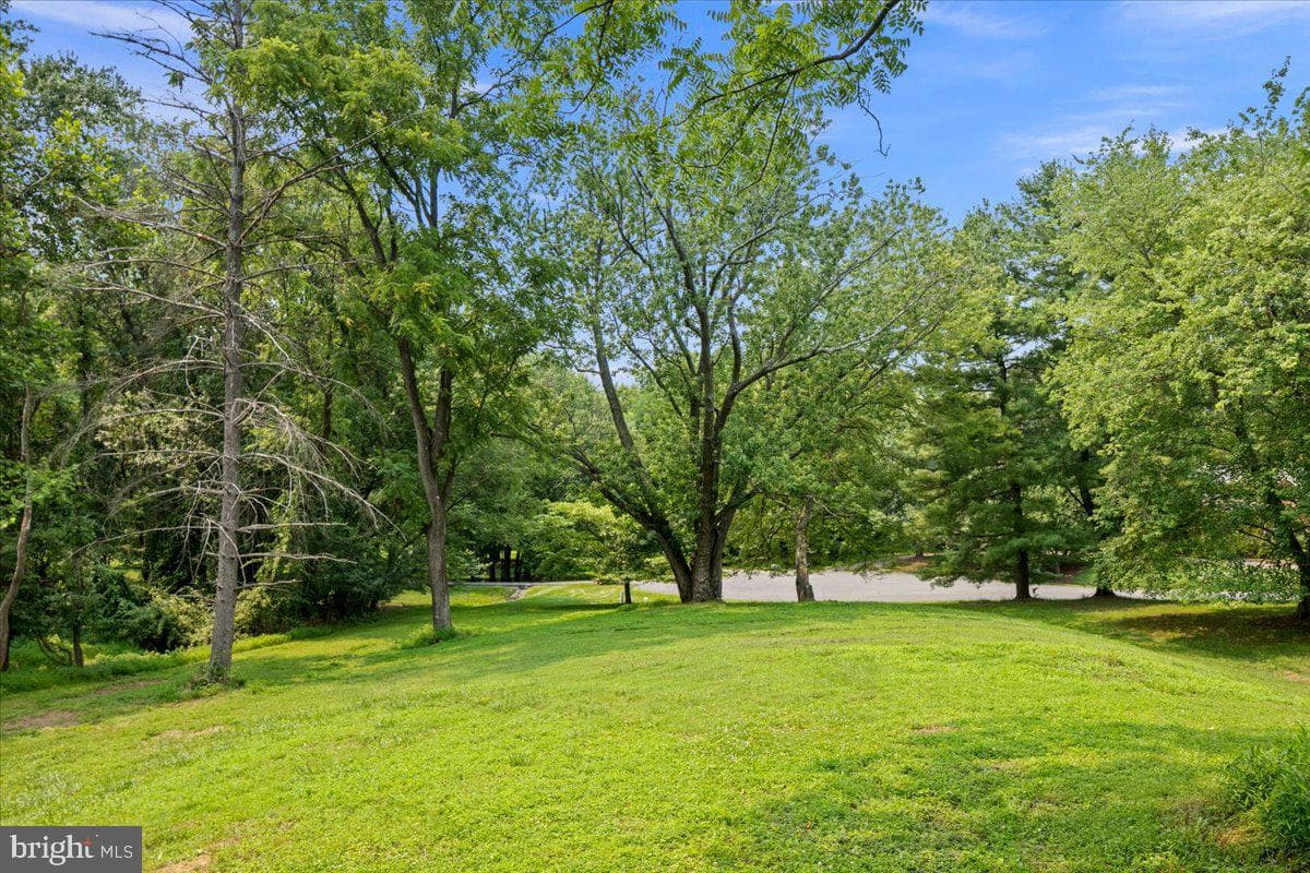 353 Gallop Wood Place photo 119