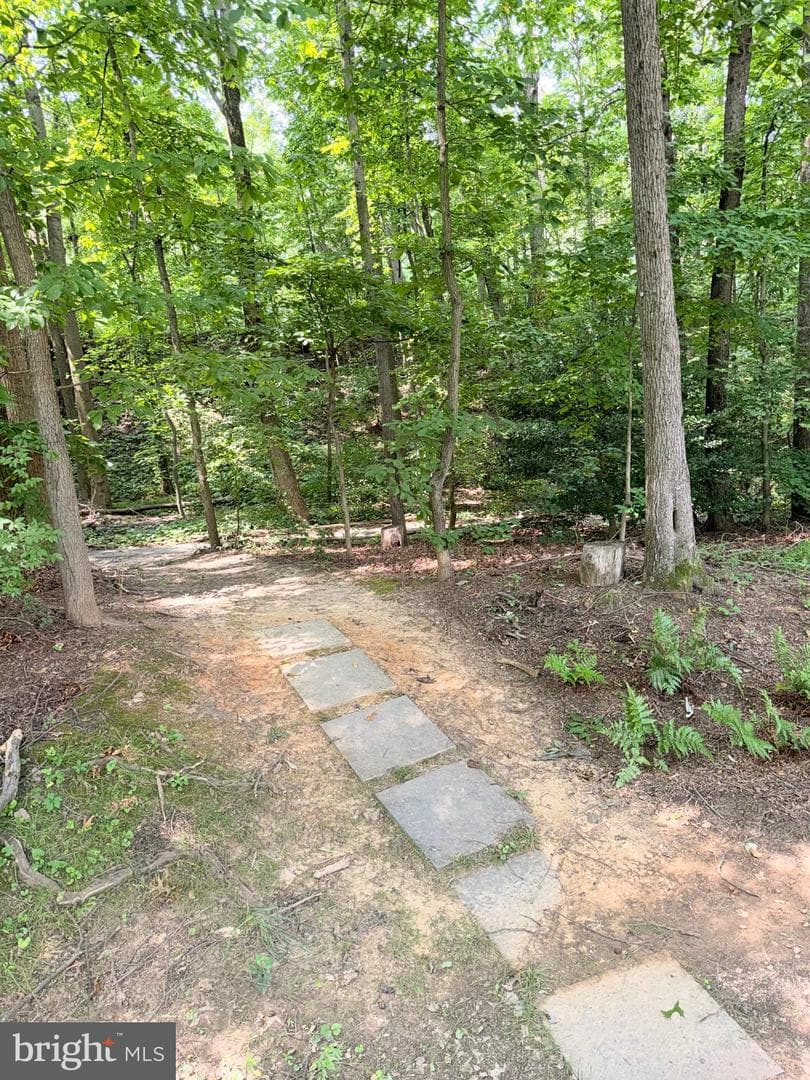 5918 Cove Landing Road #202 photo 3