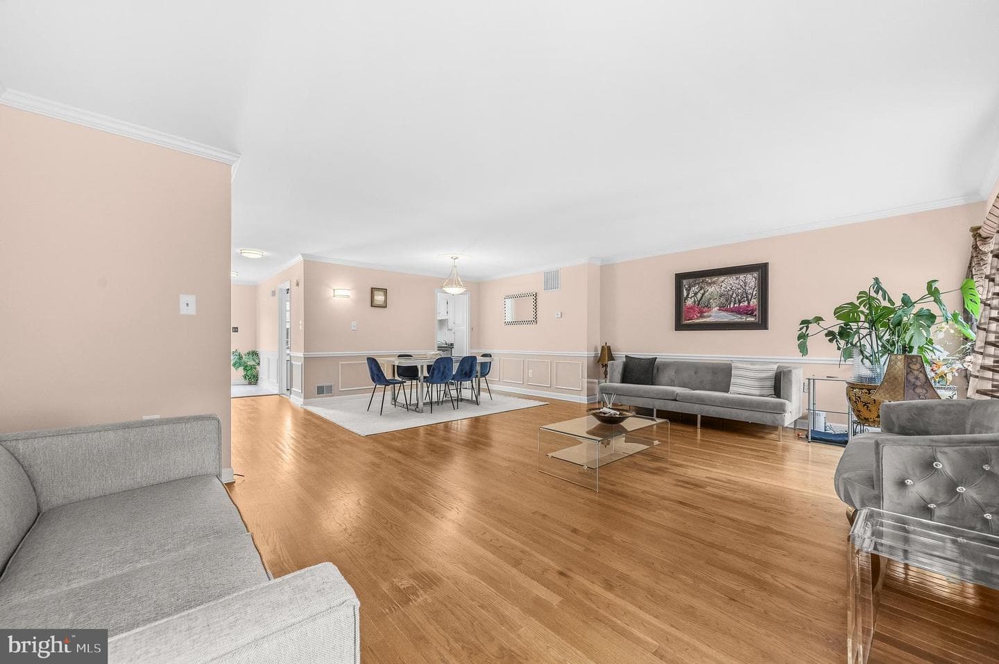 3050 Federal Hill Drive photo 8