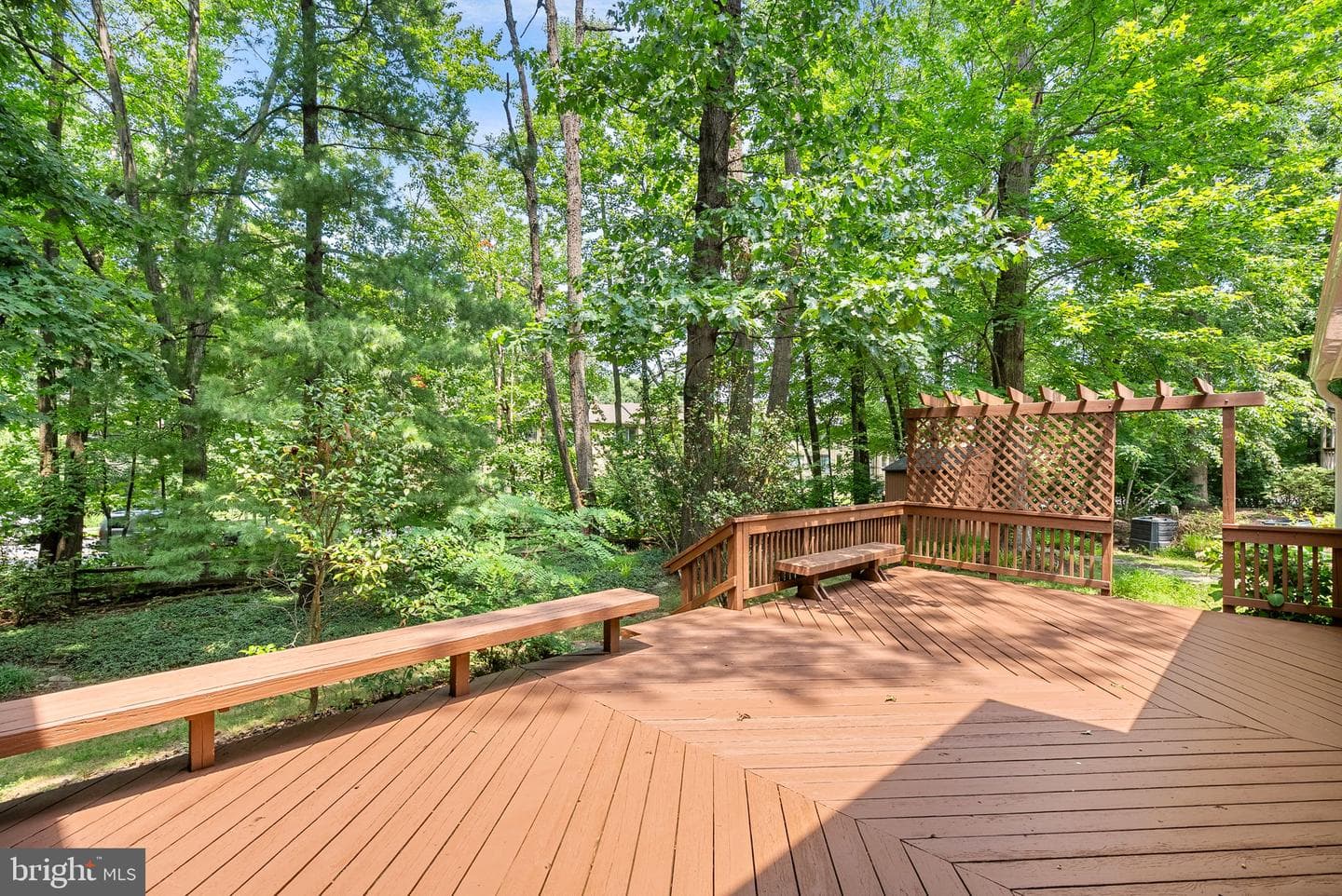 2284 Dosinia Court photo 52