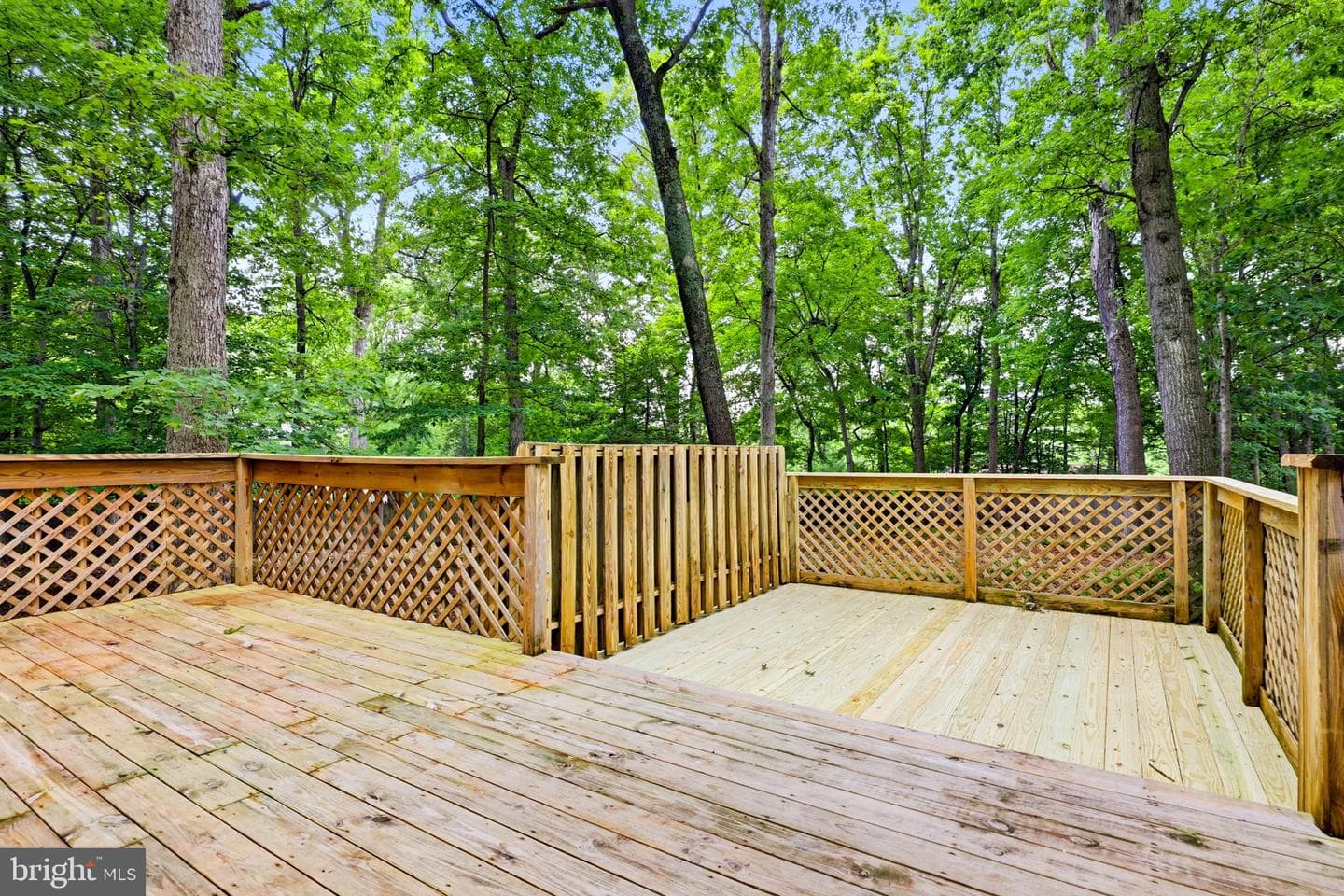 9811 Vertain Court photo 58