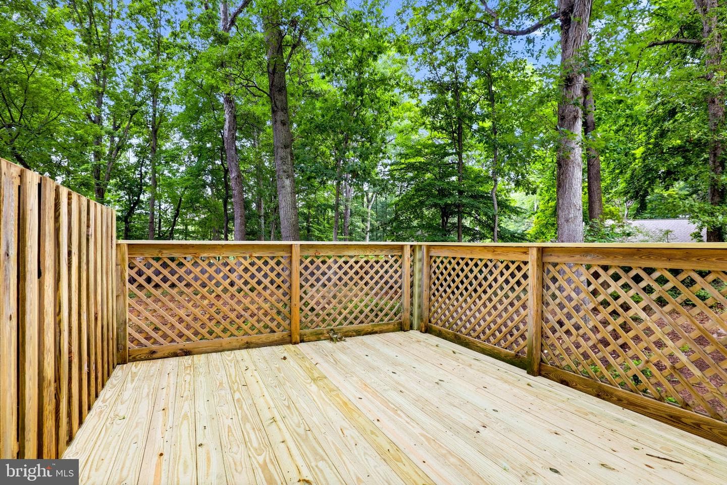 9811 Vertain Court photo 59