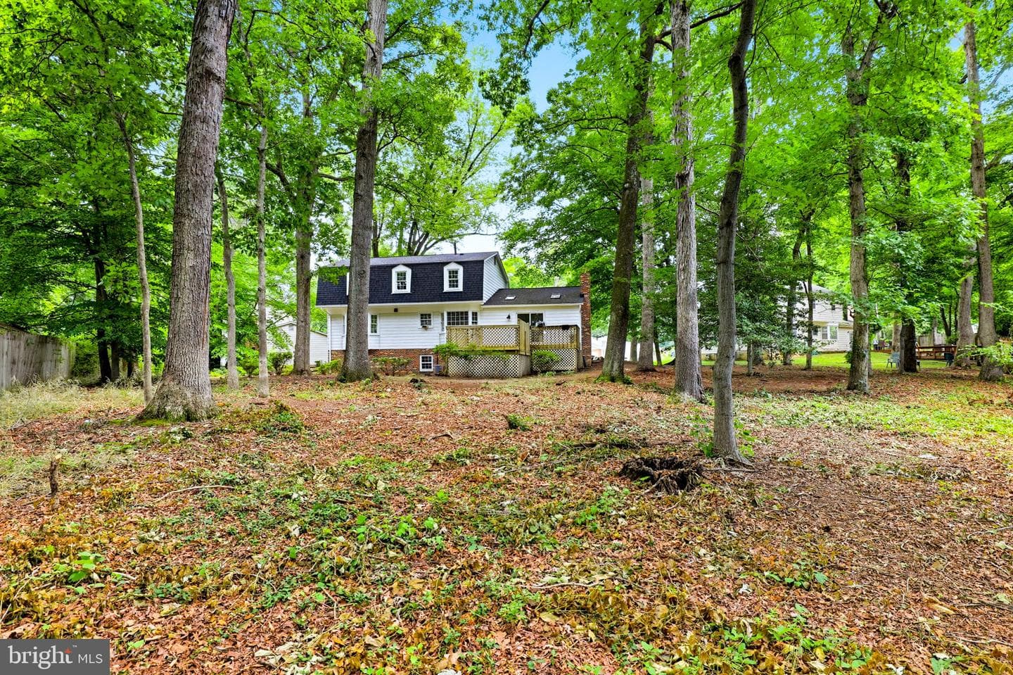 9811 Vertain Court photo 64